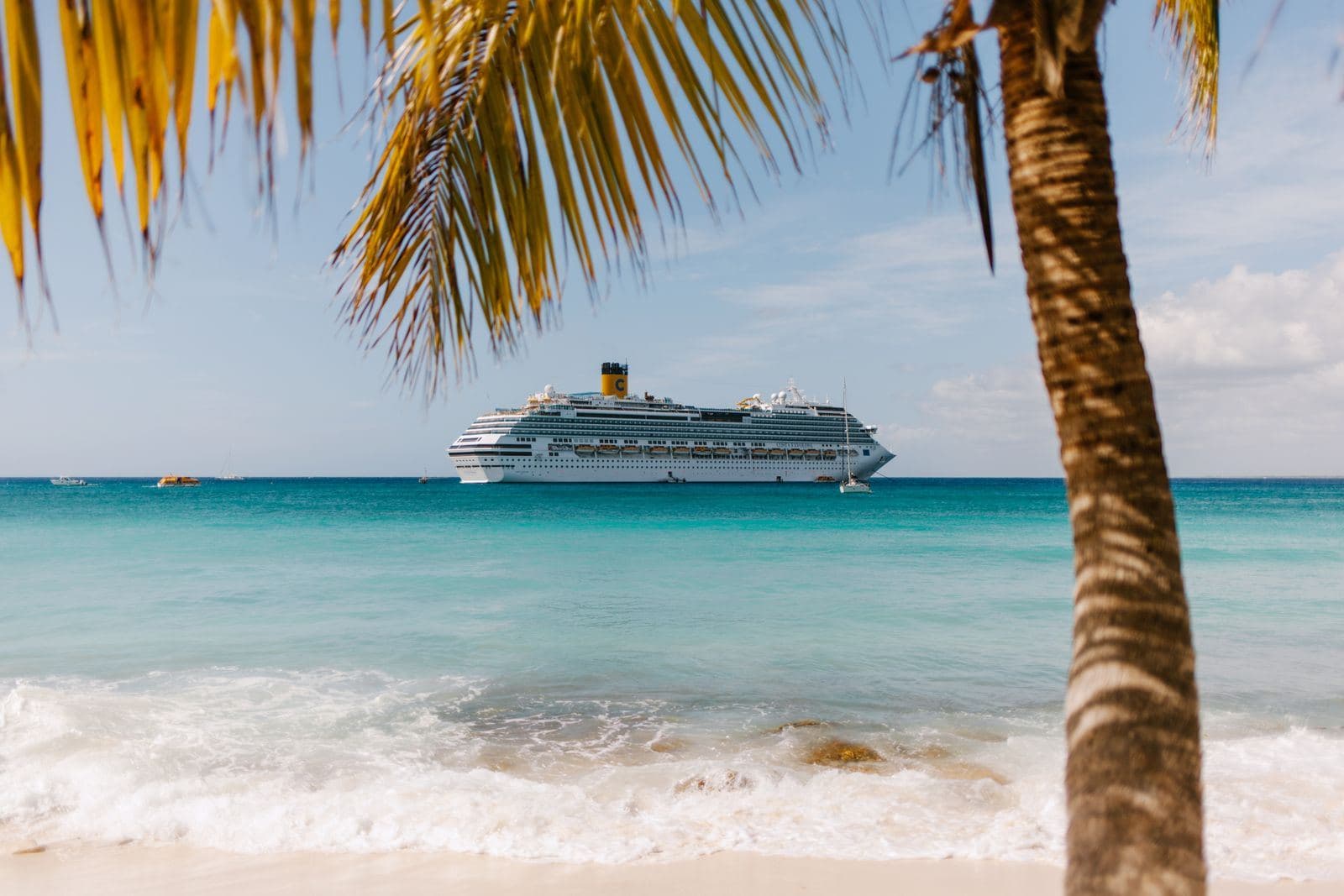 A cruise ship anchored off a palm-lined beach
